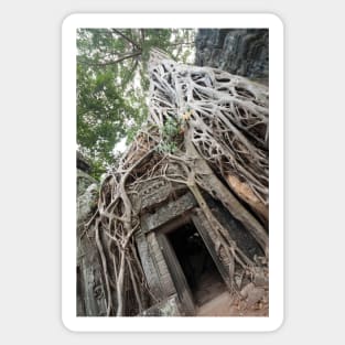 Ta Prohm - Cambodia Sticker